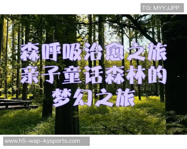 篮球明星的治愈之旅如何用热爱与坚持重塑人生与梦想